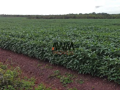 Fazenda / Sítio / Chácara à venda, 24829200m² no , Pedro Afonso