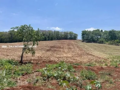 Terreno / Lote Comercial à venda, 192000m² no , Uraí