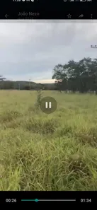 Fazenda / Sítio / Chácara à venda, 155000000m² no Centro, Formosa
