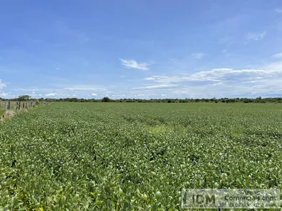 Terreno / Lote / Condomínio à venda, 18800000m² no Centro, Formoso do Araguaia