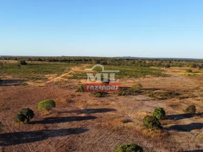 Fazenda / Sítio / Chácara à venda, 500m² no , Formoso do Araguaia