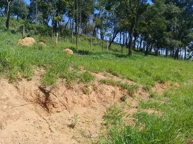 Fazenda / Sítio / Chácara à venda, 53250m² no Estacao de Moreiras, Mairinque