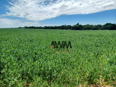 Fazenda / Sítio / Chácara à venda, 21538000m² no , Pedro Afonso