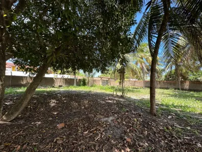 Terreno / Lote / Condomínio à venda, 1080m² no Ilha da Crôa, Barra de Santo Antônio
