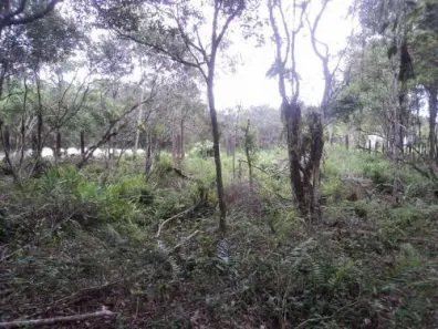 Fazenda / Sítio / Chácara à venda, 14000m² no Gaivota, Itanhaém