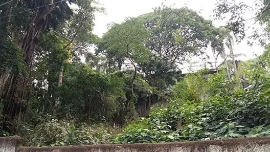Terreno / Lote / Condomínio à venda, 338m² no Barro Branco (Zona Norte), São Paulo