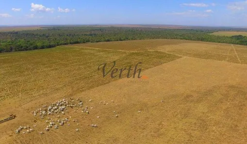 com 1 Quarto à venda, 305m² no , Guaraí