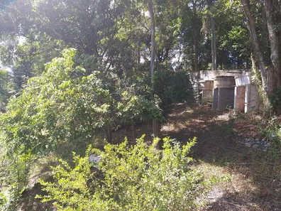 Fazenda / Sítio / Chácara com 2 Quartos à venda, 2721m² no Granja dos Cavaleiros, Macaé
