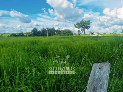 Fazenda / Sítio / Chácara à venda, 13380000m² no Área Rural de Gurupi, Gurupi