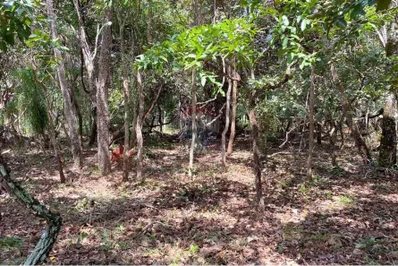 Terreno / Lote / Condomínio à venda, 2187m² no Setor Habitacional Tororó, Brasília