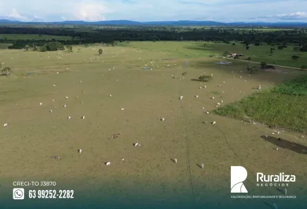 Fazenda / Sítio / Chácara à venda, 1306m² no , Arapoema