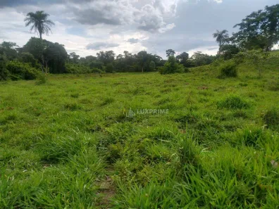 Fazenda / Sítio / Chácara à venda, 1161600m² no , Rio Sono
