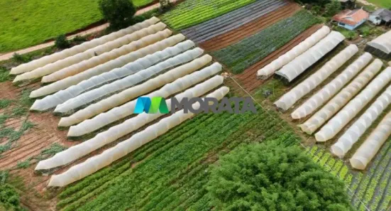 Fazenda / Sítio / Chácara com 1 Quarto à venda, 44m² no Centro, Pouso Alegre