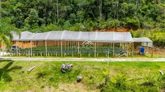 Fazenda / Sítio / Chácara com 3 Quartos à venda, 260m² no Quatro Barras, Quatro Barras