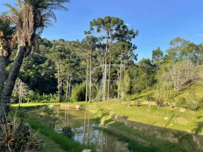 Fazenda / Sítio / Chácara à venda, 338800m² no Triângulo Azul, São Lourenço da Serra