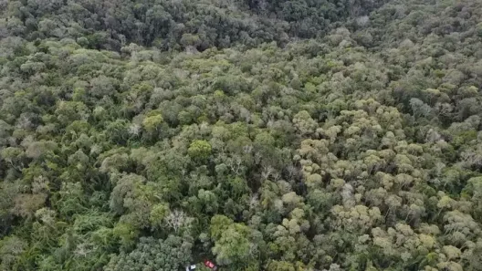 Fazenda / Sítio / Chácara à venda, 290400m² no , Antonina