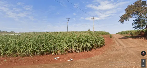Terreno / Lote Comercial à venda, 90750m² no , Assaí