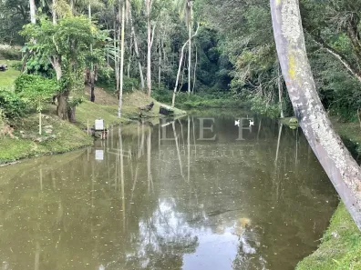 Fazenda / Sítio / Chácara com 3 Quartos à venda, 12m² no Centro, São Lourenço da Serra