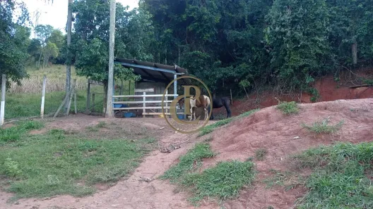 Fazenda / Sítio / Chácara com 3 Quartos à venda, 300m² no Caçapava Velha, Caçapava