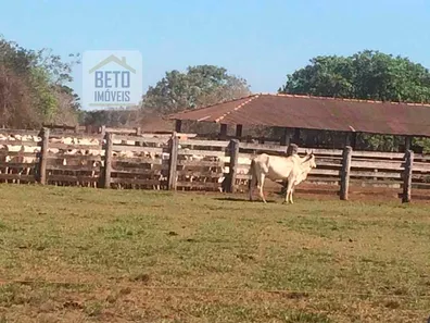 Fazenda / Sítio / Chácara à venda, 406000000m² no Zona Rural, Pium