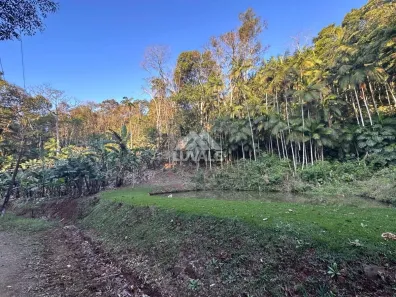 Fazenda / Sítio / Chácara com 3 Quartos à venda, 20855m² no Centro, Massaranduba