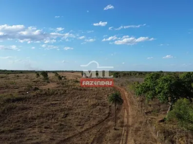 Fazenda / Sítio / Chácara à venda, 500m² no , Pium