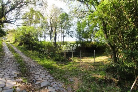 Fazenda / Sítio / Chácara à venda, 15000m² no Pé de Plátano, Santa Maria