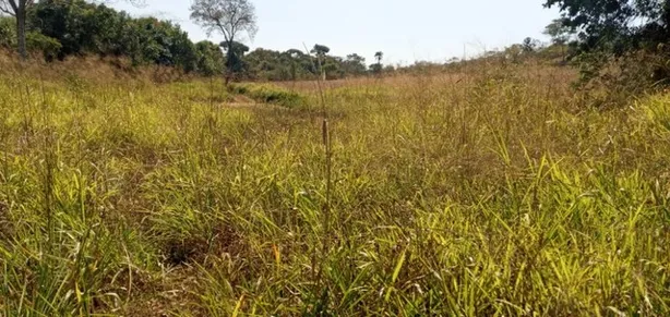Fazenda / Sítio / Chácara com 5 Quartos à venda, 1600000m² no Área Rural do Gama, Brasília