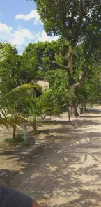 Fazenda / Sítio / Chácara com 8 Quartos à venda, 127000m² no Tinguá, Nova Iguaçu