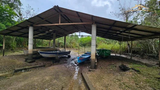 Fazenda / Sítio / Chácara com 4 Quartos à venda, 36469m² no , Antonina