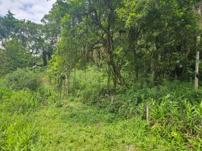 Terreno / Lote / Condomínio à venda, 900m² no Antonina, Antonina