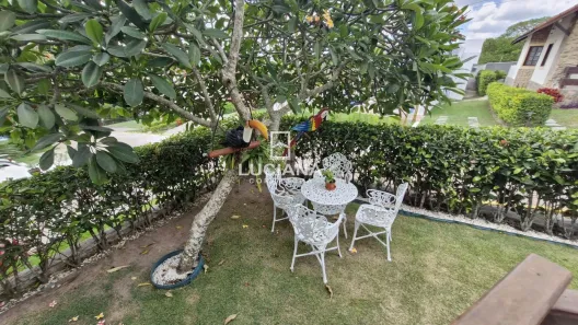 Casa de Condomínio com 3 Quartos à venda, 164m² no Gravatá Centro, Gravatá