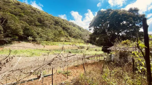 Terreno / Lote / Condomínio à venda, 20000m² no , Pacoti