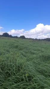 Fazenda / Sítio / Chácara à venda, 4500000m² no zona rural, Ielmo Marinho