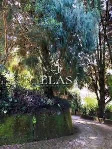 Casa com 3 Quartos à venda, 168m² no Quitandinha, Petrópolis