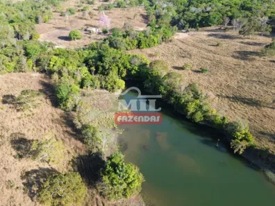 Fazenda / Sítio / Chácara à venda, 500m² no , Pium