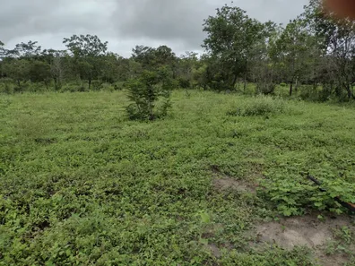 Terreno / Lote / Condomínio à venda, 20000m² no , Fortuna de Minas