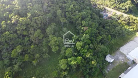 Galpão / Depósito / Armazém com 1 Quarto à venda, 5552m² no Nereu Ramos, Jaraguá do Sul