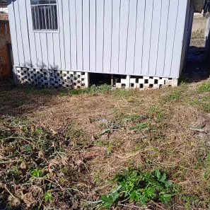 Casa com 2 Quartos para alugar, 20m² no Guarani, Colombo