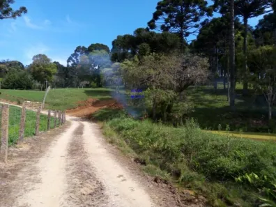 Fazenda / Sítio / Chácara com 1 Quarto à venda, 7000m² no , Contenda
