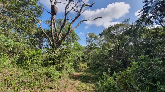 Terreno / Lote / Condomínio à venda, 565m² no Açu da Torre, Mata de São João