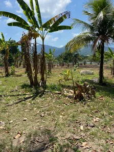 Terreno / Lote / Condomínio à venda, 3250m² no Sampaio Correia (Sampaio Correia), Saquarema