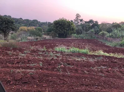 Fazenda / Sítio / Chácara à venda, 3000m² no Condomínio Horizontal Marajoara, Ibiporã