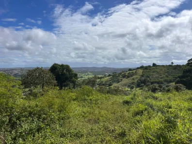 Fazenda / Sítio / Chácara à venda, 4500m² no Área Rural de Gravatá, Gravatá