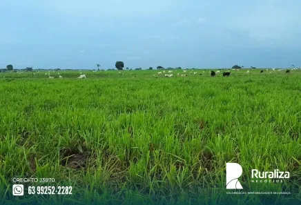 Fazenda / Sítio / Chácara à venda, 416m² no , Bernardo Sayão