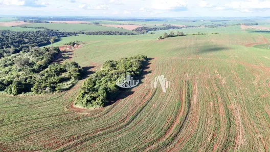 Fazenda / Sítio / Chácara à venda, 4065600m² no Cornélio Procópio, Cornélio Procópio