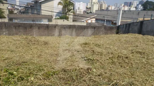 Terreno / Lote / Condomínio à venda, 1000m² no Vila Mazzei, São Paulo