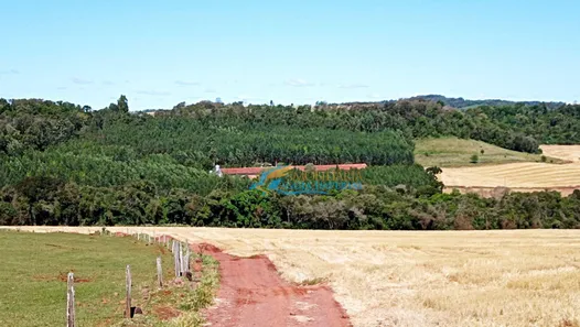 Fazenda / Sítio / Chácara à venda, 1365m² no São Salvador, Cascavel