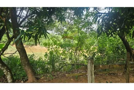 Fazenda / Sítio / Chácara com 2 Quartos à venda, 92m² no Núcleo Urbano Bom Jardim, Jaguariúna