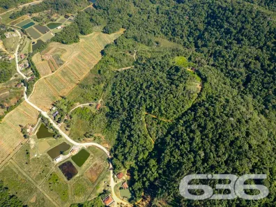 Fazenda / Sítio / Chácara com 3 Quartos à venda, 140m² no Sai, São Francisco do Sul